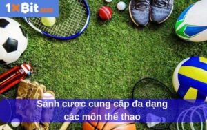 Giới thiệu về nền tảng 1xbit