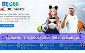 IBC Sports Bec88 – Cổng cá cược thể thao đáng tin cậy