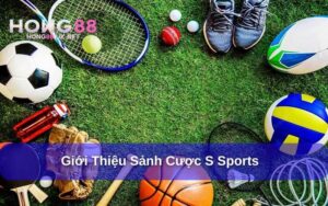 S Sports Hong88 là gì?