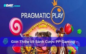 Sảnh cược đa dạng tại PP Gaming 8Day
